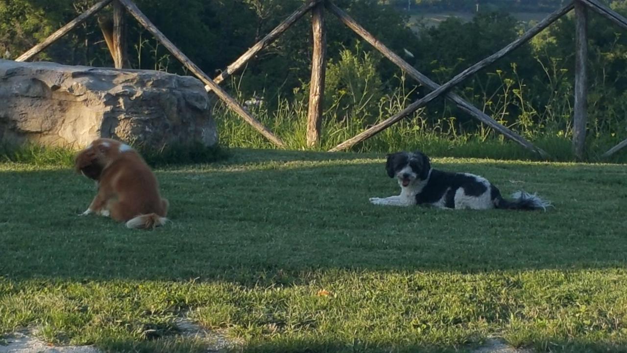 Agriturismo Countryhouse Le Giare Gubbio Exterior foto